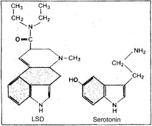 Lsd-struktur.jpg