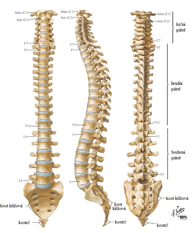 www.spinesurgery.cz