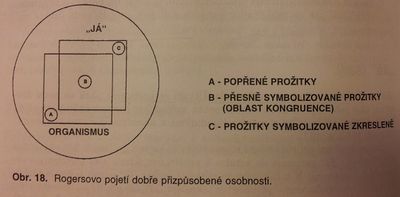 Dobře přizpůsobená osobnost.jpg