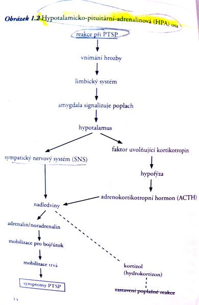 Ptsp-reakce.jpg